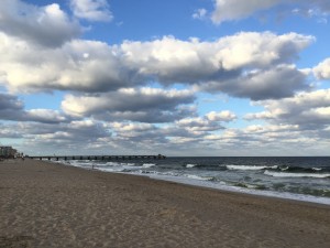 IMG_4433